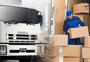 DOMESTIC RELOCATION SERVICES
