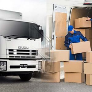 DOMESTIC RELOCATION SERVICES