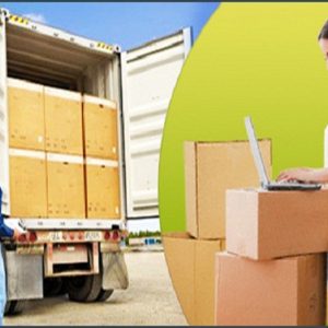 DOMESTIC RELOCATION SERVICES